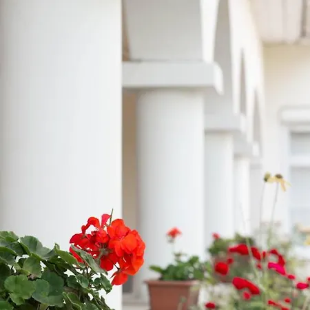 Emese Bed & Breakfast