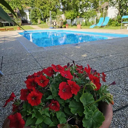 Bed & Breakfast Emese Búč