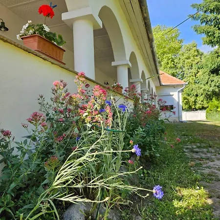 Emese Búč